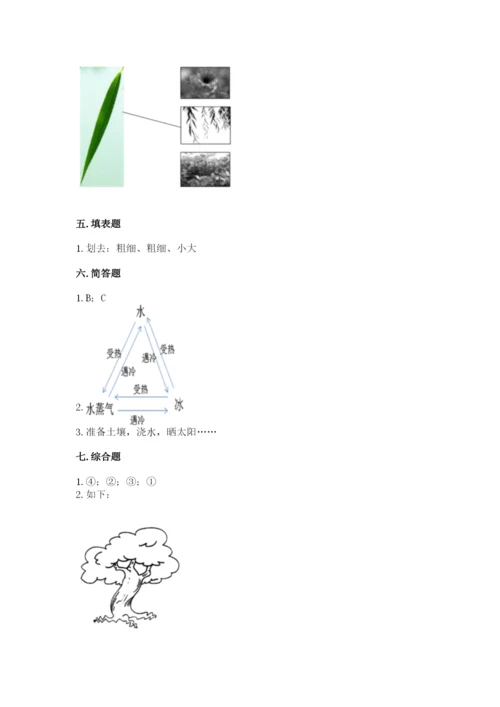教科版科学一年级上册第一单元《植物》测试卷及完整答案1套.docx