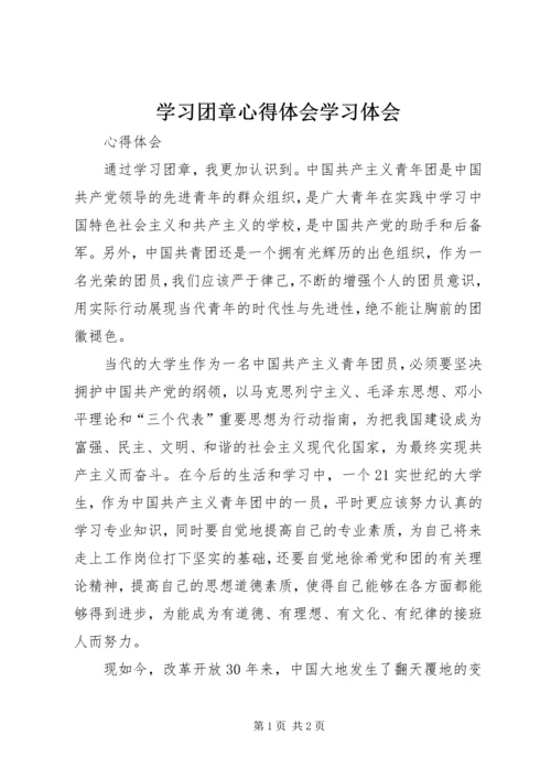 学习团章心得体会学习体会 (2).docx