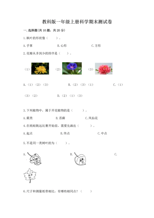 教科版一年级上册科学期末测试卷带答案（巩固）.docx