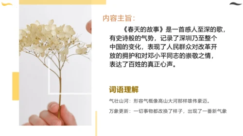 统编版六年级语文下册同步高效课堂系列第四单元（复习课件）