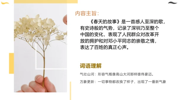 统编版六年级语文下册同步高效课堂系列第四单元（复习课件）