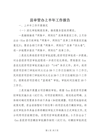 县审管办上半年工作报告.docx