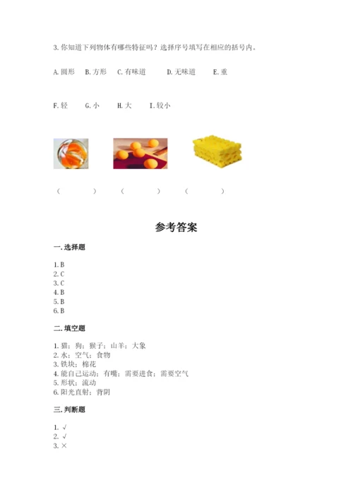 教科版小学科学一年级下册期末测试卷（综合题）.docx