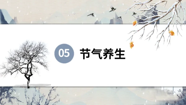大寒节气山村通用PPT模板