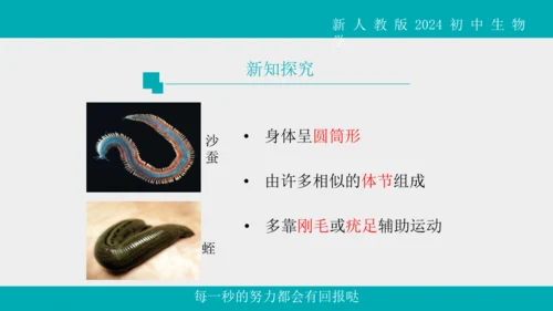 人教版生物七年级上册2.2.1《无脊椎动物》教学课件(共40张PPT)+视频素材