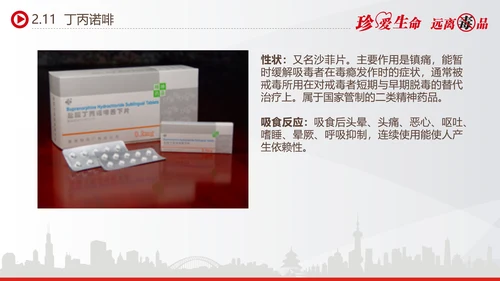世界禁毒日宣传禁毒知识教学PPT模板