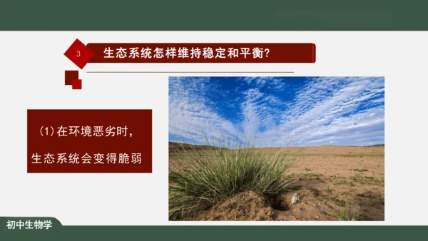 1.2.2 生物与环境组成生态系统 课件（共25张PPT）