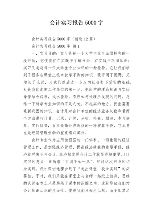 会计实习报告5000字.docx