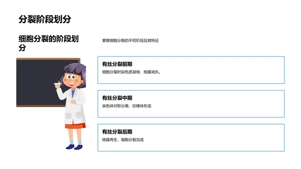 细胞结构功能教学PPT模板