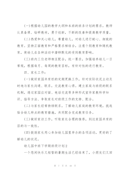 幼儿园中班下学期班级计划.docx
