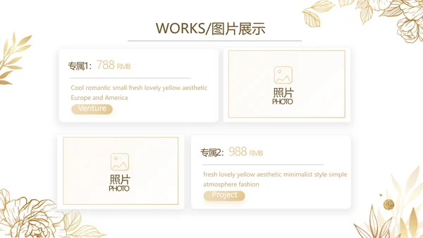 公司品牌营销策划方案工作总结PPT