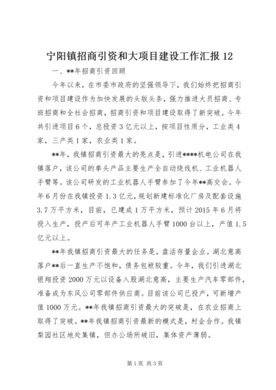 宁阳镇招商引资和大项目建设工作汇报12 (3).docx