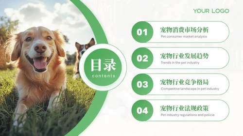 绿色宠物行业报告PPT模版