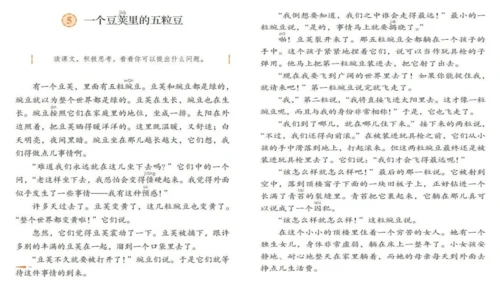 5《一个豆荚里的五粒豆》  课件