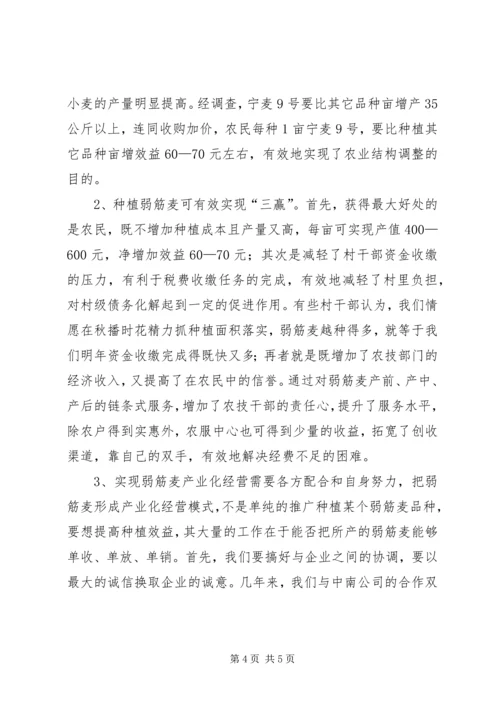 发展弱筋麦产业,促进农业增收增效.docx