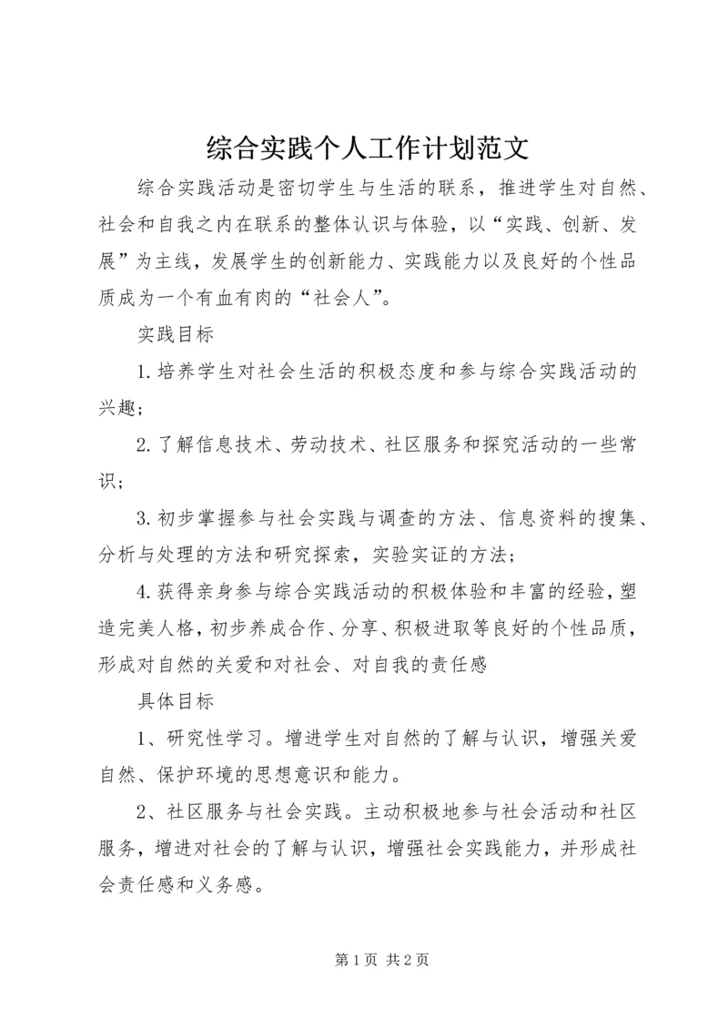 综合实践个人工作计划范文.docx