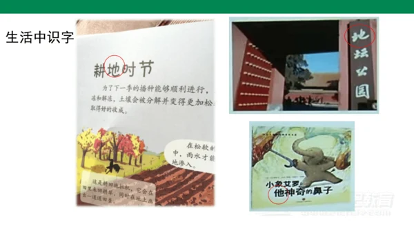 识字1  天地人  课件