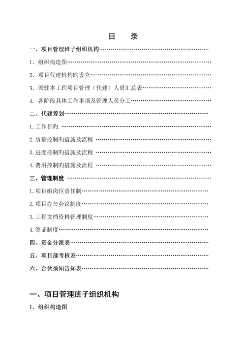 关键工程代建工作专题方案.docx