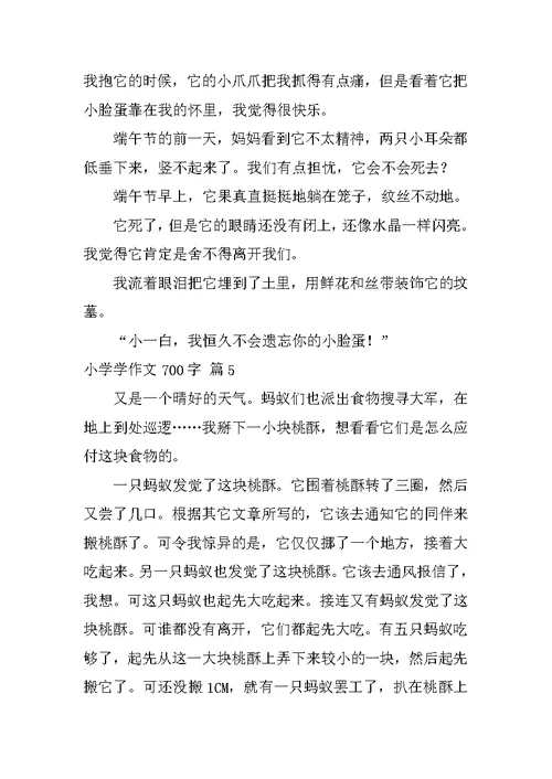 小学学作文700字