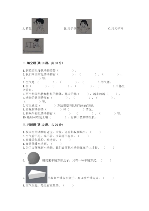 教科版一年级下册科学期末测试卷（培优）.docx
