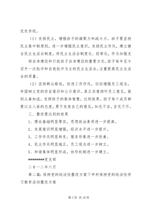 保持党的纯洁性整改方案.docx