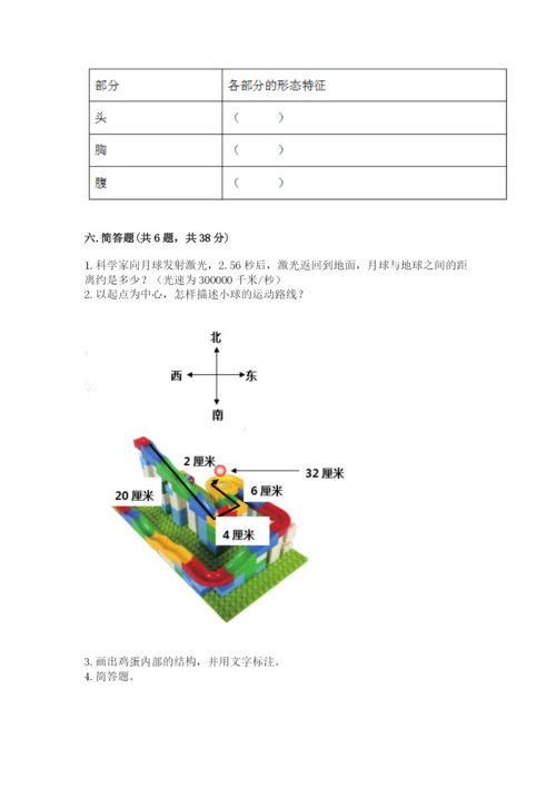 教科版科学三年级下册 期末测试卷（名师系列）.docx