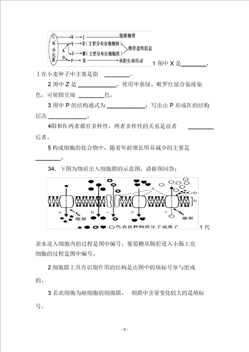 山东省泰安市宁阳二中202X届高三生物第一次月考试题中图版