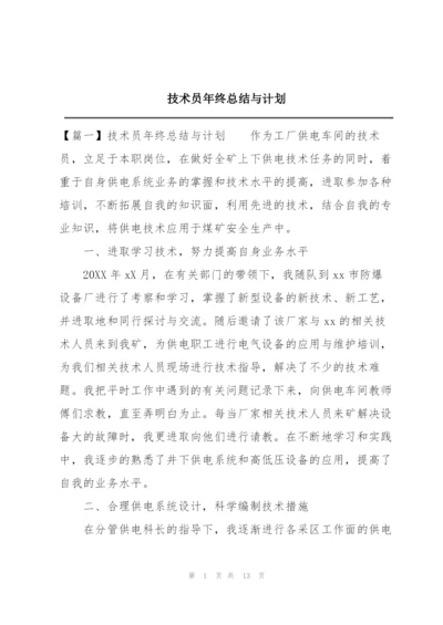 技术员年终总结与计划.docx