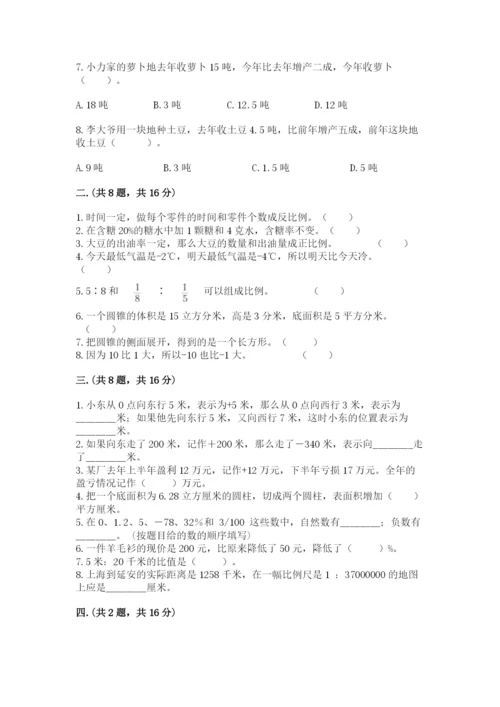 人教版数学小升初模拟试卷及完整答案【历年真题】.docx