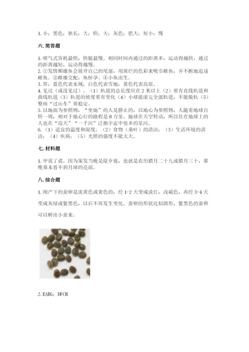 教科版小学科学三年级下册期末测试卷（巩固）.docx