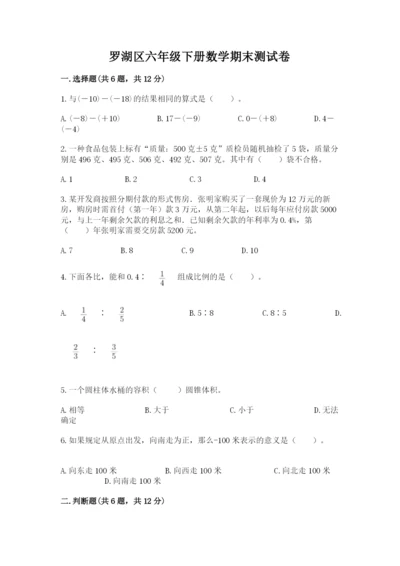 罗湖区六年级下册数学期末测试卷及一套参考答案.docx