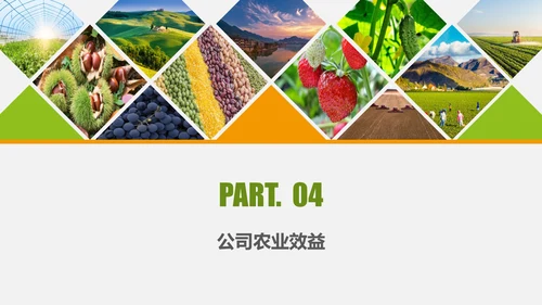 水果蔬菜农业招商农产品宣传通用PPT模板