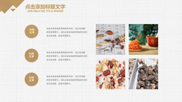 中医学养生保健医院中医文化中草药PPT