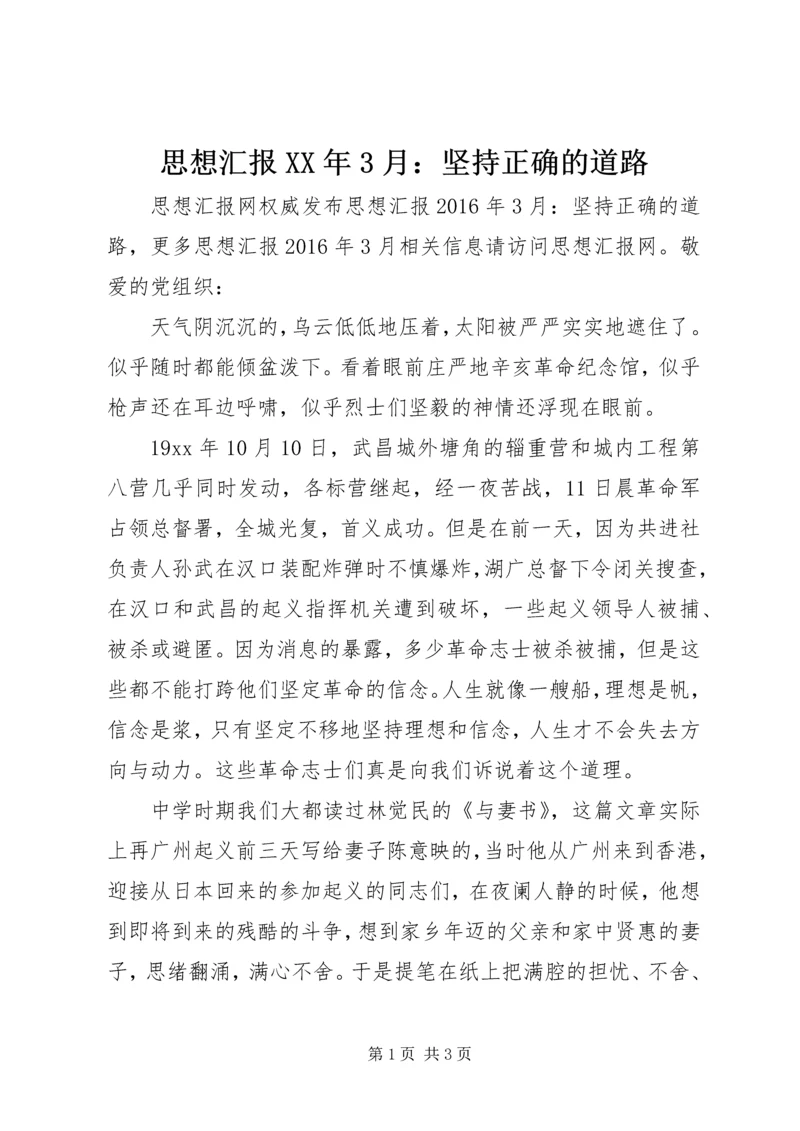 思想汇报XX年3月：坚持正确的道路.docx