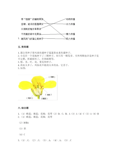 教科版四年级下册科学第一单元《植物的生长变化》测试卷【研优卷】.docx