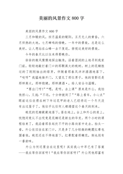 美丽的风景作文800字.docx