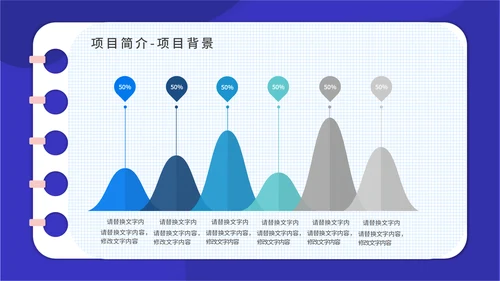 PACA项目实施报告通用PPT模板