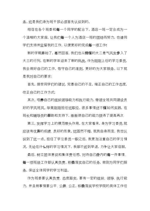 学习委员述职报告汇总5篇