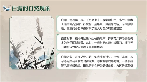褐绿色中国风白露节气学校主题班会PPT模板