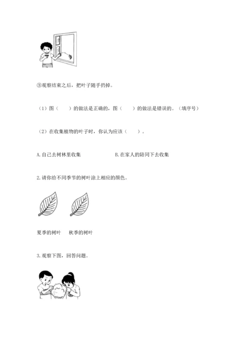 教科版科学一年级上册第一单元《植物》测试卷附参考答案（精练）.docx