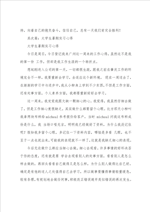 大学生暑期实习心得多篇