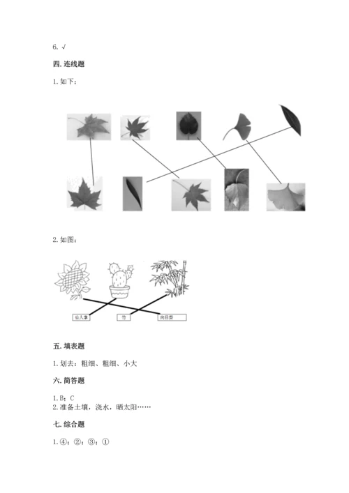 教科版科学一年级上册第一单元《植物》测试卷附参考答案（考试直接用）.docx