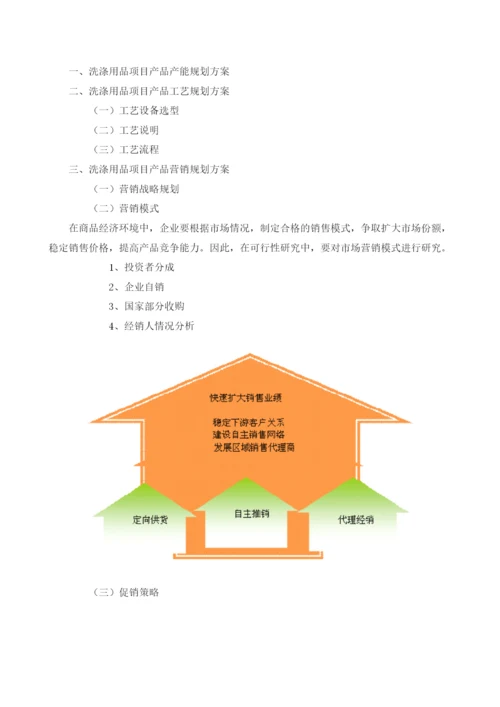 洗涤用品可研报告模板.docx