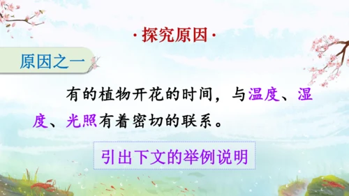 13《花钟》（课件）