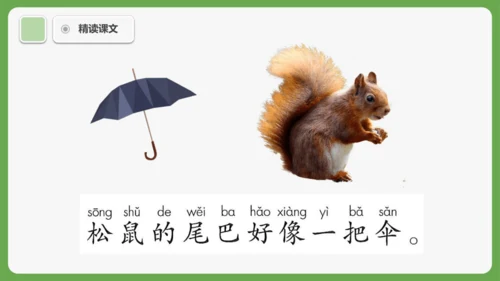 8《比尾巴》课件