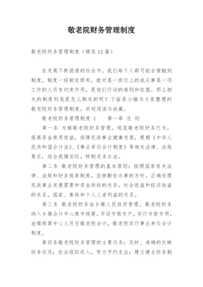 敬老院财务管理制度.docx