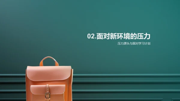 高中生的心理之旅