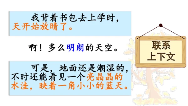 5 铺满金色巴掌的水泥道