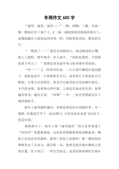 冬雨作文600字-10.docx