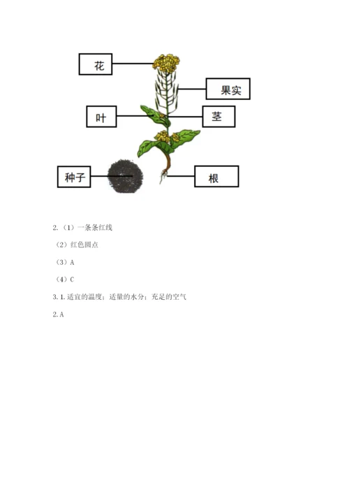 教科版四年级下册科学第一单元《植物的生长变化》测试卷a4版.docx